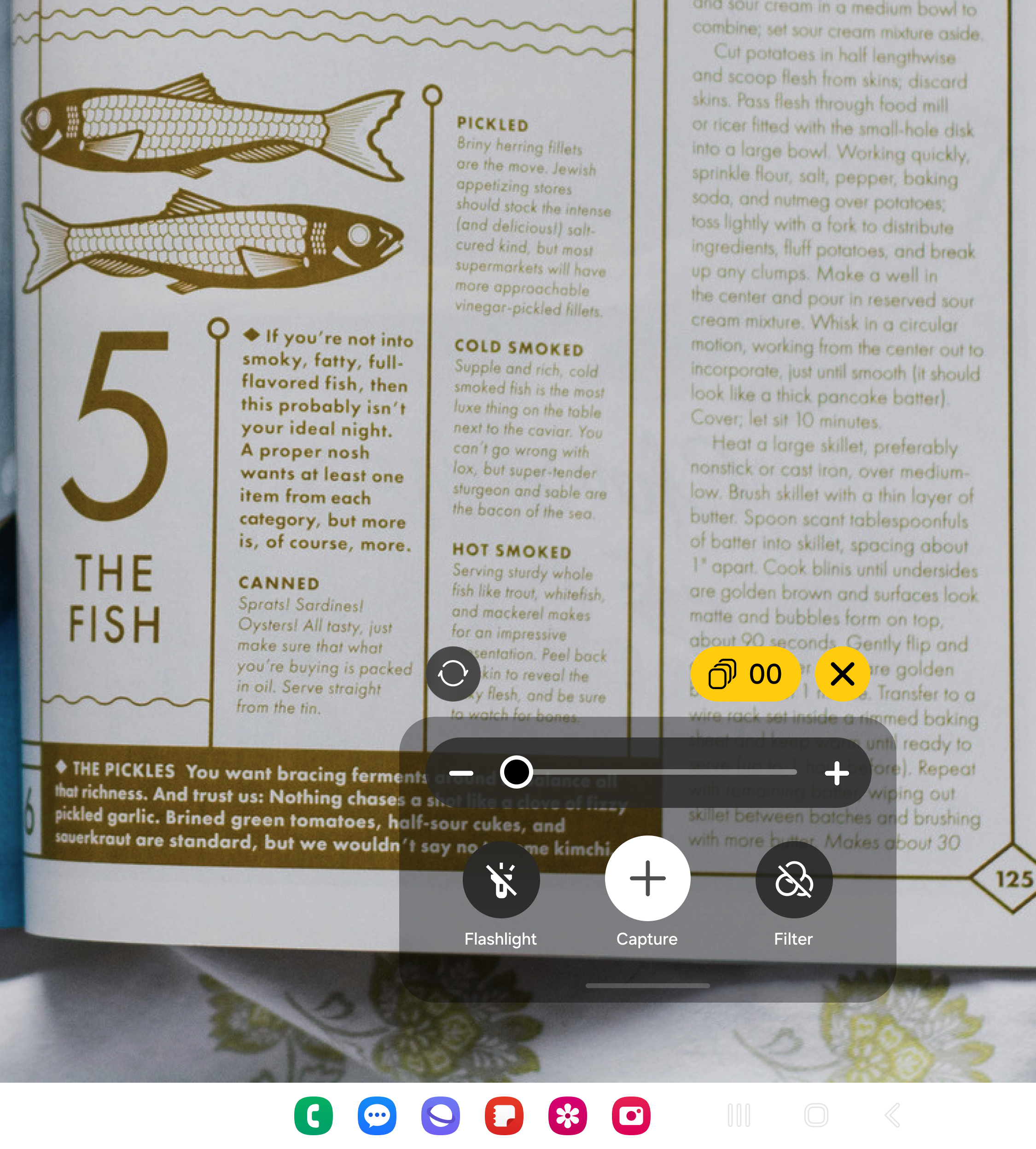 Magnifier — multi capture